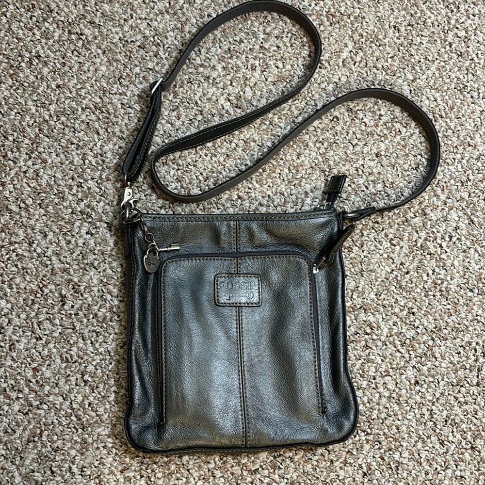 Fossil - Iridescent Leather Crossbody Bag, Organizer- EUC